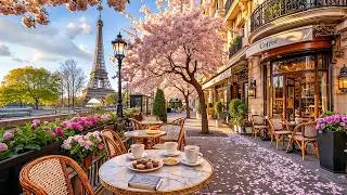 Cherry Blossom Morning Jazz in Paris ☕ Street Café Ambience & Relaxing Jazz Music for Study & Work