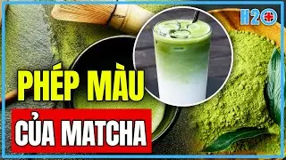 Khoa học Nhật Bản l&yacute; giải ph&eacute;p m&agrave;u của Matcha | H2O K&ecirc;nh Sức Khoẻ