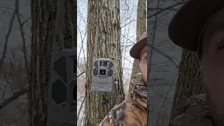 Favorite features of the REVEAL CELL CAM 🦌 #trailcam #tactacam #bigbuck