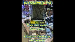 🔴LIVE Exoterra 12x12x18 Bioactive Terrarium Design HERE @Repticon Orlando! Great 4 Crested #gecko
