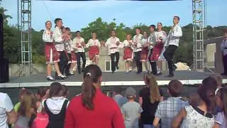 LĂPUȘNIȚA - gr.Mare și gr.Mijlocie