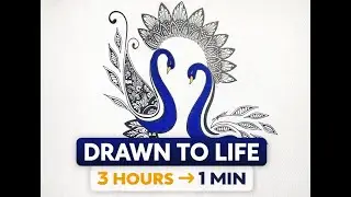 3 Hours of Art in 1 Minute | Peacock Mandala &ndash; Drawn to Life