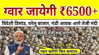 ग्वार में उछाल कब आयेगा॥ ग्वार ₹6500 पार कब जायेगी॥ ग्वार का भाव॥ Guwar me teji kab aaegi