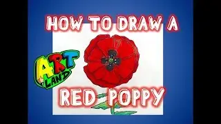 How to Draw a POPPY
