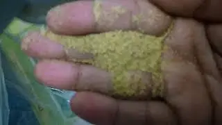 hulled mustard screen grading