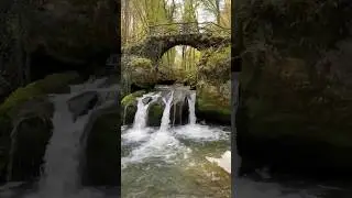 Mullerthal trail | day 4 🏕️🚶&zwj;♂️🎒 #backpacking #shorts
