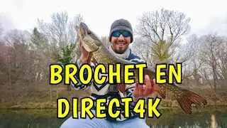 Touche en direct Brochet au leurre 4k UHD