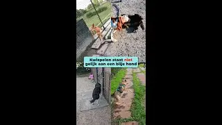 KWISPELEN is niet altijd POSITIEF
