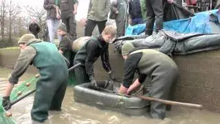 The Carp Specialist - Netting of Lac de Villedon in December 2011