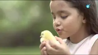 Nestle  Nespray - Adiba Hussain