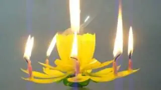 #515 Spinning Musical Birthday Flower Candle