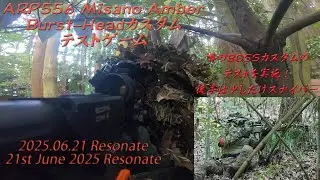 ARP556 Misano Amber Burst-Headカスタム テストゲーム 2025.06.21
