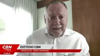 Import&acirc;ncia da sa&uacute;de ambiental nos canis e gatis | PET NEWS