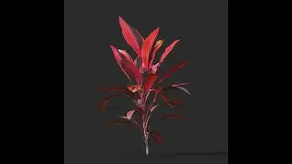 3DMAX - TREE ANIMATION - Cordyline_rubra - TYFLOW TUTORIALS