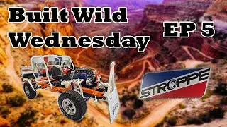 We Got Access to an Incredible Stroppe Bronco Collection
