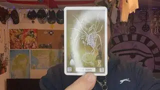 ASMR MY DRAGON 🐉 TAROT @AzuraDragonFaether DAY 3.014 FALL - LOG - MAS