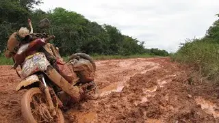 Br 319, corazón del AMAZONAS, Brasil