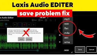 lexis audio editor save problem ! how to slove Lexis Audio editor saving problem