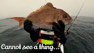 Foggy Day Fishing..! Big School of BIG Kingies ! Snapper for the dinner