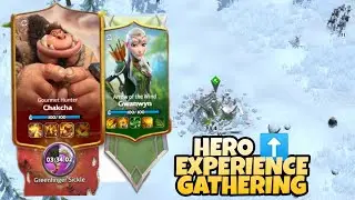 Call of Dragons - Hero Leveling up Tip