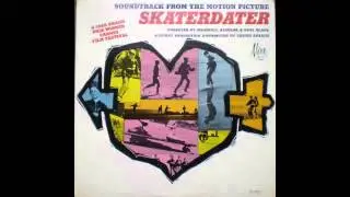 Davie Allan & The Arrows - Skaterdater Rock