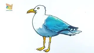 comment dessiner un albatros facilement