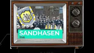 Sandhasen live