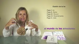 Gesti&oacute;n de la ira