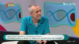 Living City - Ruso Sehabiaga Откуда взялась фраза «Собака — лучший друг человека»?