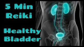 Reiki For Healthy Bladder  l 5 Minute Session l Healing Hands Series