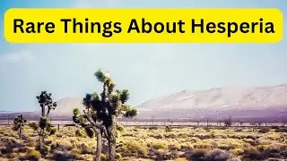 Top 10 Rare Things You Didn&rsquo;t Know About Hesperia California : World10