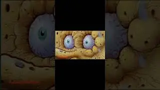 OSRS I Tried To Quit #osrs #memes #osrsmemes #runescape #spongebob #funny