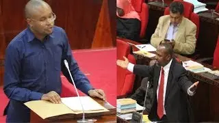 BAJETI YA NISHATI NA MADINI: Lusinde amvaa Mnyika