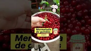 #mermelada #guindas #mermeladacasera #mermeladadeguindas #dulce #fruta #casera #Chile #araucania