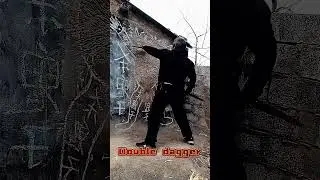 Double Dagger Training#KungFu #martialarts