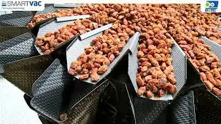 Date Weighing and Packaging - Process Line