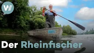 Traditionelles Fischen im Rhein  - Ein Beruf im Einklang mit der Natur
