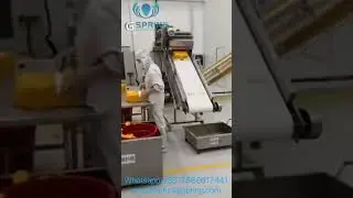 1500kg/h Panko Bread Crumbs Production Line @ Gspring Machinery