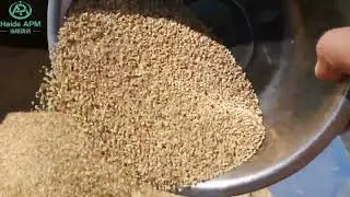 Quinoa cleaning and Quinoa seed sorting equipment #machine #quinoa #cleaningmachine #quinoaseed