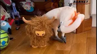 Fun with a Furry Beast! 😂