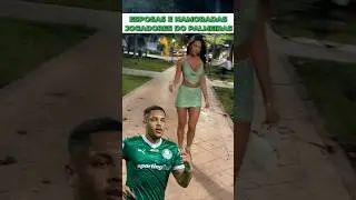 ESPOSAS E NAMORADAS DOS JOGADORES DO PALMEIRAS #palmeiras #futebol #futebolbrasileiro