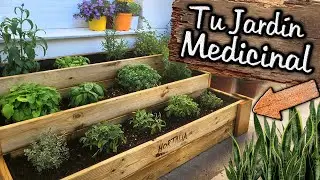Un JARDIN HERMOSO de PLANTAS MEDICINALES ! Las 10 Plantas M&Aacute;S Curativas | Menta, Or&eacute;gano, Albahaca