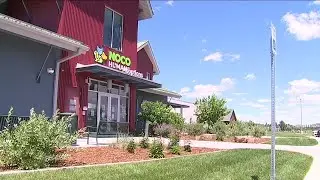 NOCO Humane waives adoption fees for July after receiving 1,000 animals last month