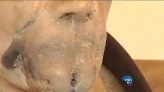 SA sculpture sold for more than five million