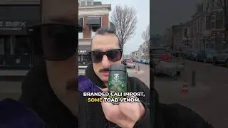Нашла новое сокровище прямо на пляже в Гааге @coffeeshopthebox