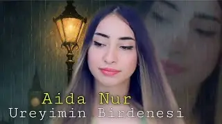 Aida Nur - Ureyimin Birdenesi  (Official Audio Music)