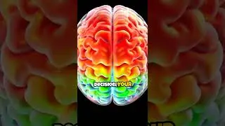 Can your brain predict the future? Science has the answer!