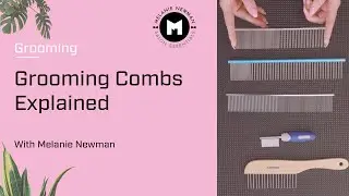 Dog Grooming Combs Explained