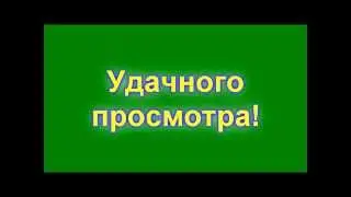 MineCraft Animation | Ассасин VS Охрана короля