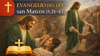 No Tengas Miedo, Solo Ten Fe | Evangelio de Hoy (Marcos 5,21-43)Homilía Padre Javier Carralón 